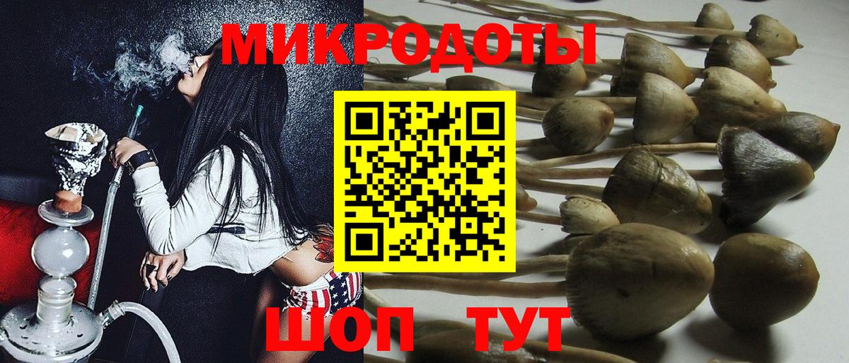 Псилоцибиновые грибы GOLDEN TEACHER Протвино